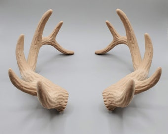 Ricky | Elk Antlers for Human Head