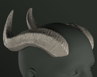 Digital 3D Model for Large Wavy Horns | Kolsun