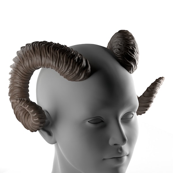 Digital 3D Model for Large Horns | Cadence