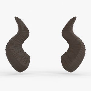 Digital 3D Model for Horns | Wanda