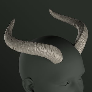 Digitales 3D Modell für große Hörner | Marie