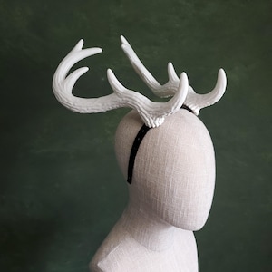 Lucy | Eld Deer Antlers