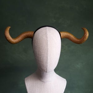 Victoria | Medium Bull Horns