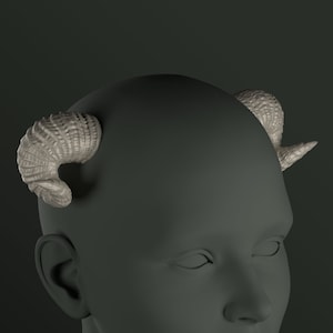 Digital 3D Model for Small Horns | Tumnus