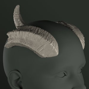 Digitales 3D Modell für Hörner mit gebrochener Seite | Kolsun