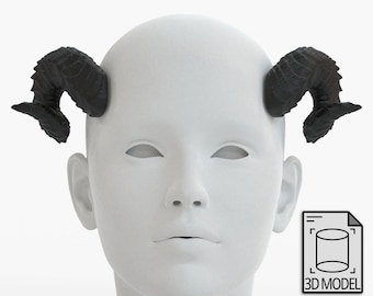 Digital 3D Model for Small Curled Horns | Laura