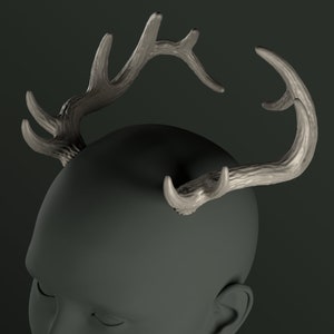 Digital 3D Model for Elk Antlers | Ricky