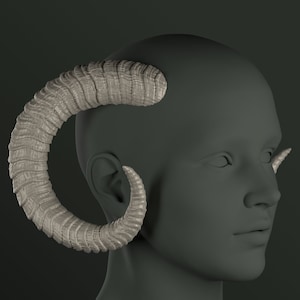 May include: A gray, sculpted head with two large, curved horns. The horns are textured and have a rough, organic look.