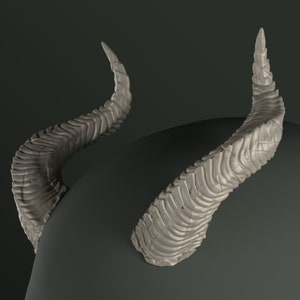 Digital 3D Model for Horns | Tasha