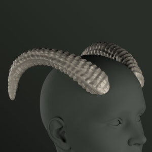 Digitales 3D Modell für große gebogene Hörner | Lauren