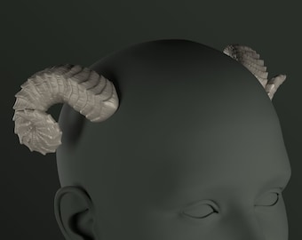 Digital 3D Model for Small Curled Horns | Laura