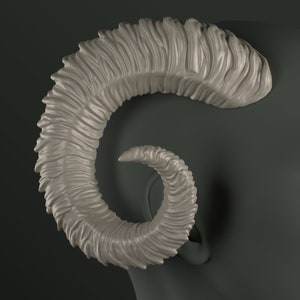 Digital 3D Model for Ram Horns | Cadence