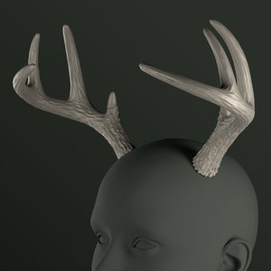 Digital 3D Model for Deer Antlers | Tracy