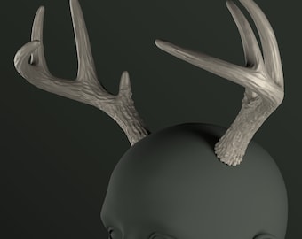 May include: A pair of light brown deer antlers, mounted on a plaster bust of a person's head. The antlers are smooth and have a natural, realistic look.