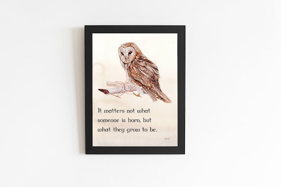 Harry The Wizard Quotes, Polar Owl Nursery Decoration, Pottery.