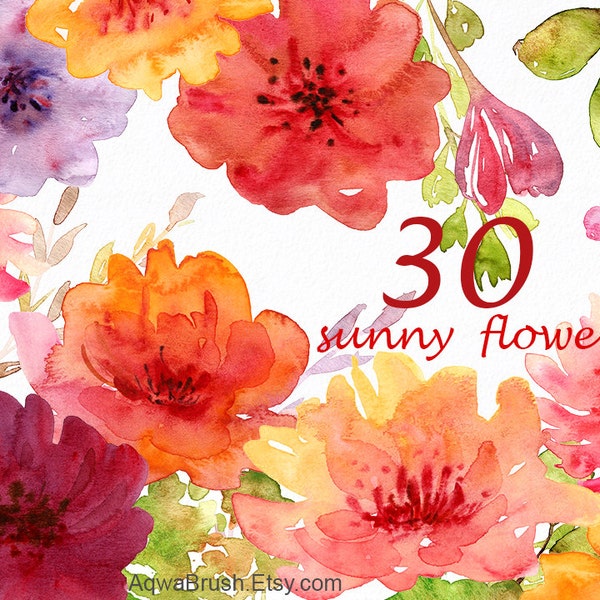 Sunny flowers Watercolor clipart Commercial use floral autumn fall flower summer orange burgundy red purple yellow brown digital graphic png