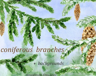 Coniferous Branches Watercolor Clipart Commercial use pinecone fir cone spruce branch stick snow Christmas Xmas New Year greenery green png