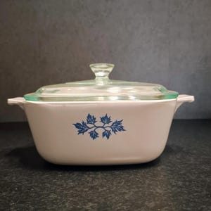 Peut inclure: Un plat à four rectangulaire blanc avec des poignées latérales intégrées et un couvercle en verre transparent. L'avant du plat présente un motif botanique de feuilles bleues centré. Le récipient est en matériau blanc opaque et lisse.