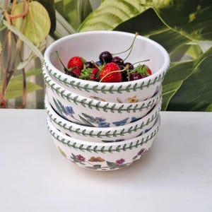 Puede incluir: Una pila de cuatro cuencos de cerámica blanca con un patrón de borde de hojas verdes y coloridas ilustraciones botánicas de flores, mariposas e insectos en el exterior. El cuenco superior contiene fresas y cerezas rojas frescas.