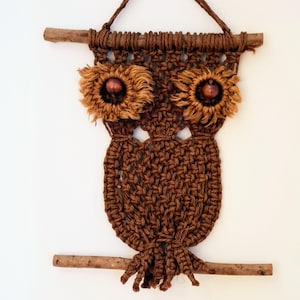 Peut inclure: Décoration murale en macramé représentant un hibou brun. Le hibou présente deux accents d'yeux duveteux de couleur beige avec des centres de perles en bois. Le corps du hibou est fait de fil brun noué, et il est suspendu à une branche en bois.