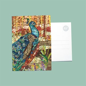 World map postcards - Bird series