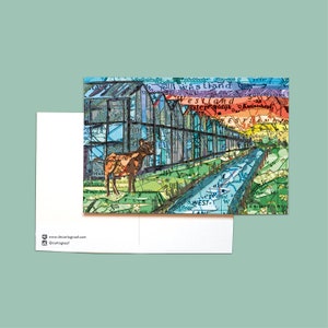 Weltkartenpostkarten - Bollenstreek