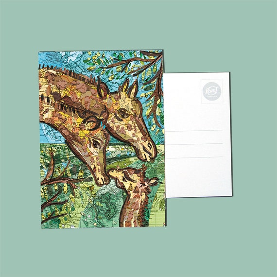 World map postcards - Wildlife series