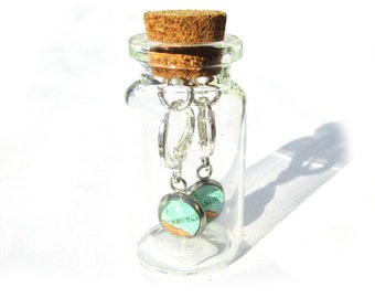 World map earrings in bottle