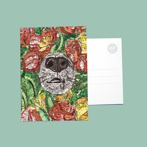 Carte postale du monde - Chiens