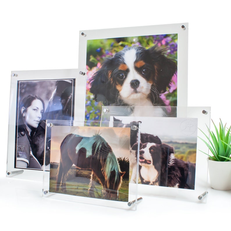 May include: Four clear acrylic photo frames with black and white photos of a woman, a horse, a dog, and a puppy. The frames are standing on a white surface.