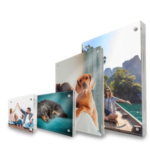 May include: Four acrylic photo frames with different sized images. The largest frame shows a woman in a boat on a lake with mountains in the background. The next frame shows a dog sitting on a sofa. The third frame shows a dog lying on a blue surface. The smallest frame shows a family of three standing in front of a brick wall.