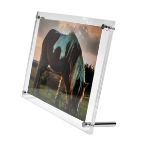 May include: A clear acrylic picture frame with a silver stand. The frame holds a photograph of a brown and white horse grazing in a field.