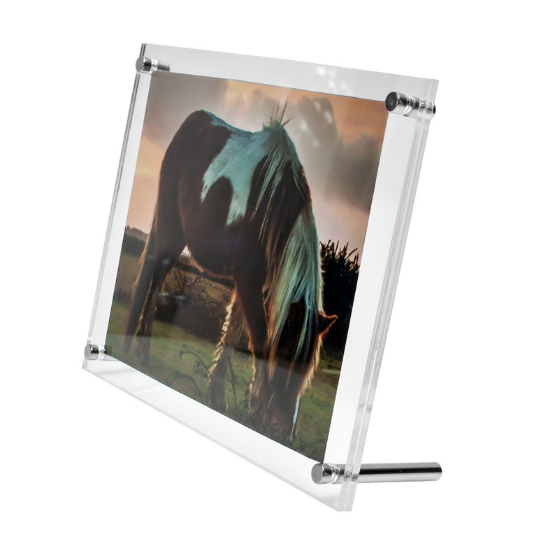 May include: A clear acrylic picture frame with a silver stand. The frame holds a photograph of a brown and white horse grazing in a field.