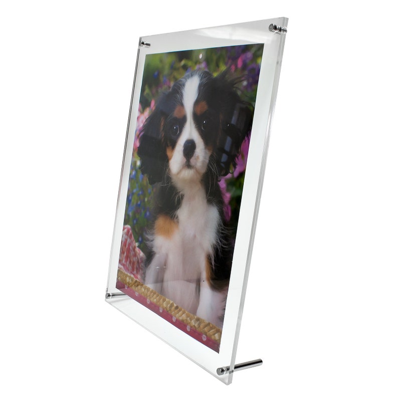 May include: A clear acrylic picture frame with a black and white puppy photo inside. The photo shows the puppy sitting in a basket of flowers. The frame has a stand on the back.