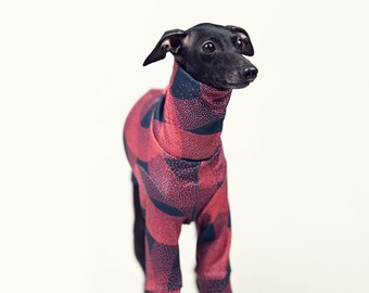 Italian greyhound clothes - RED CIRCLE blouse made of high quality fabrics with original print - functional iggy wear