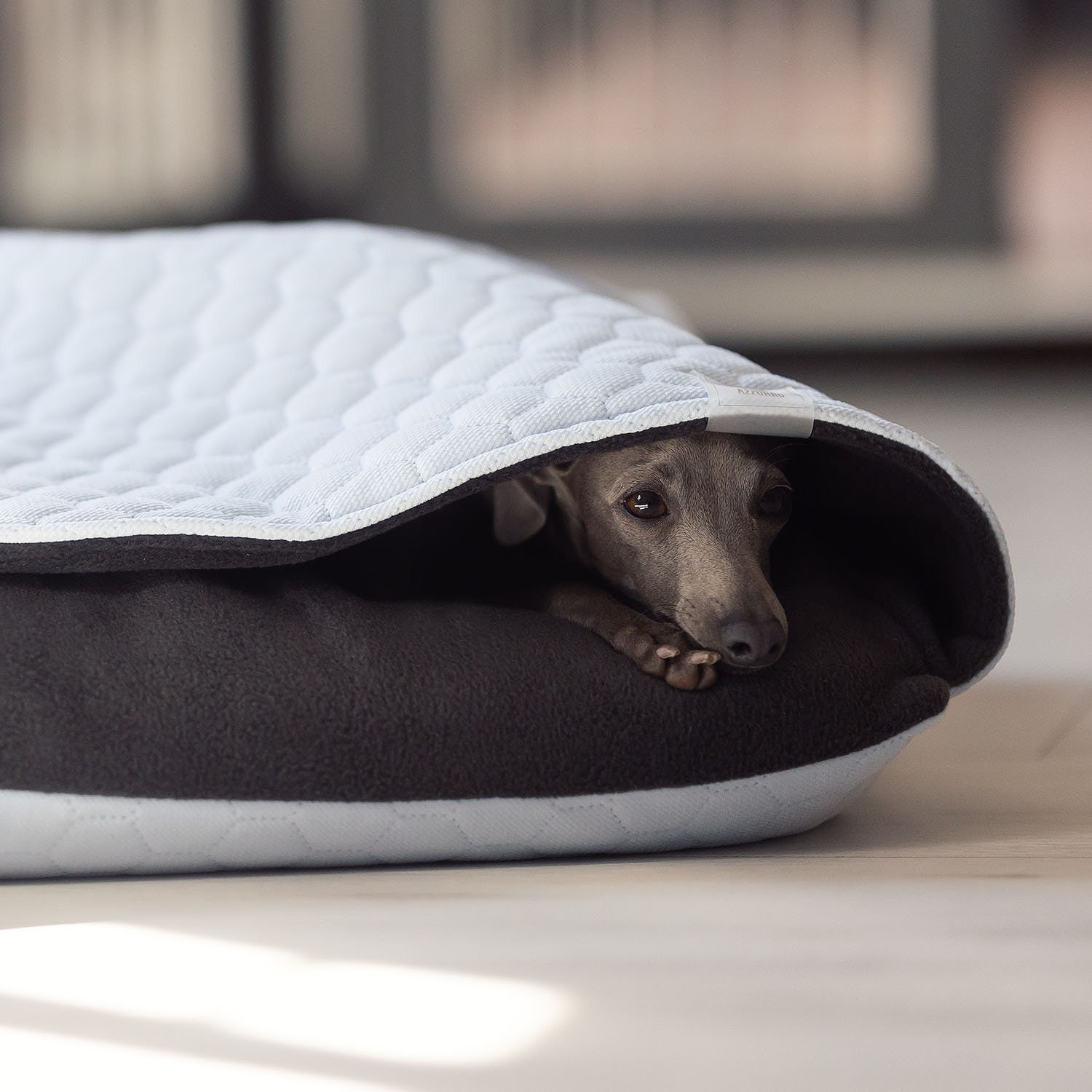 Greyhound snuggle bed hotsell