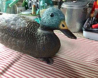 Esca dell'anatra germano reale