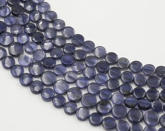 Iolite Smooth Coin Shaped Beads