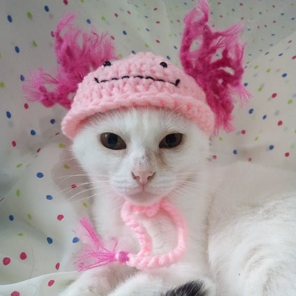 Hats for cat  Axolotl hat for cat  Cat costume  Pet costume Beret hat for cat   Cat outfit   Cat accessories