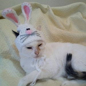 Mütze für Katzen/Ostermütze für Katze/Häschenmütze für Katze/Katzenkostüm/Mütze für Katzen/Katzenoutfit/Katzenaccessoires/Katzenkostüm/Häkelmütze
