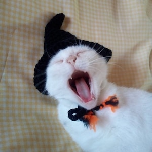 Hats for cats/Witch hat for cat/Halloween Cat costume/Pet costume/Beret  cat/Kitty outfit/Cat outfit/Cat accessories/Pet costume/Crochet hat