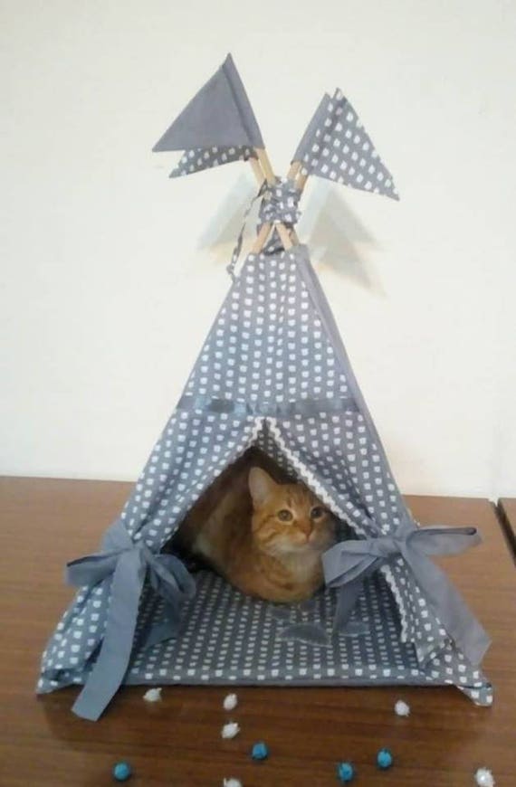 cat tent bed