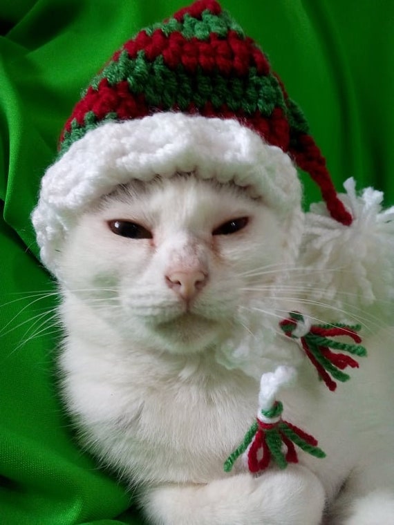 Cat elf cheap hat