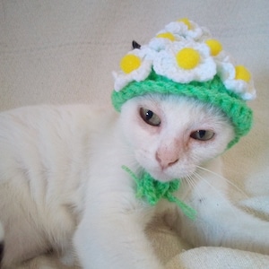 Hüte für Katzen/Blumenmütze für Katze/Katzenkostüm/Beret Mütze für Katze/Katzen Outfit/Katzen Accessoires/Haustierkostüm/Häkelmütze