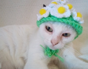 Hats for cats/Flower hat for cat/Cat costume/Pet costume/Beret hat for cat/Kitty outfit/Cat outfit/Cat accessories/Pet costume/Crochet hat