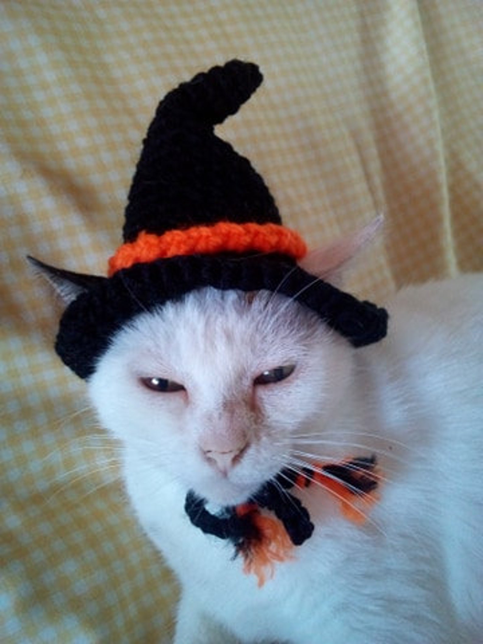 Hats for Cats/witch Hat for Cat/halloween Cat Costume/pet Etsy UK