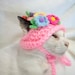 see more listings in the Pet Accessories section