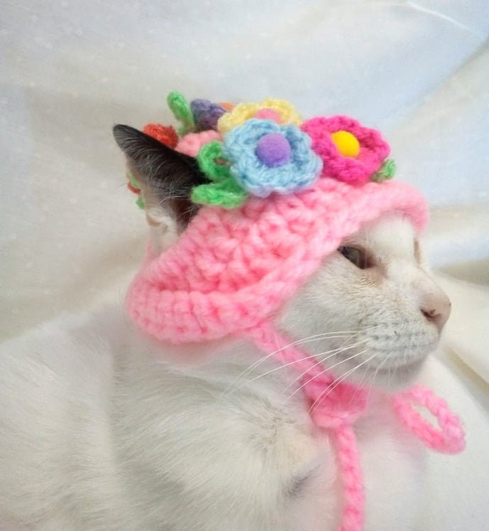 Hats for cats/Flower hat for cat/Cat costume/Pet costume/Beret | Etsy