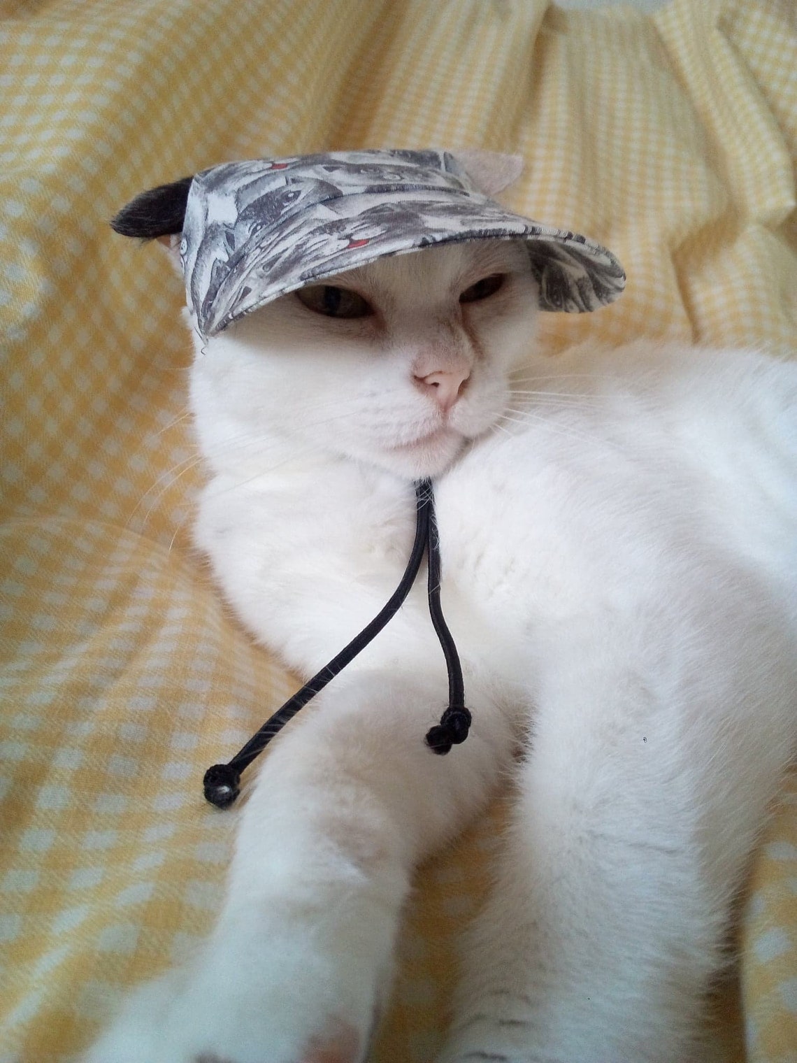 Cap for Pet/hats for Cats/cap for Cat/cat Costume/beret Hat Etsy