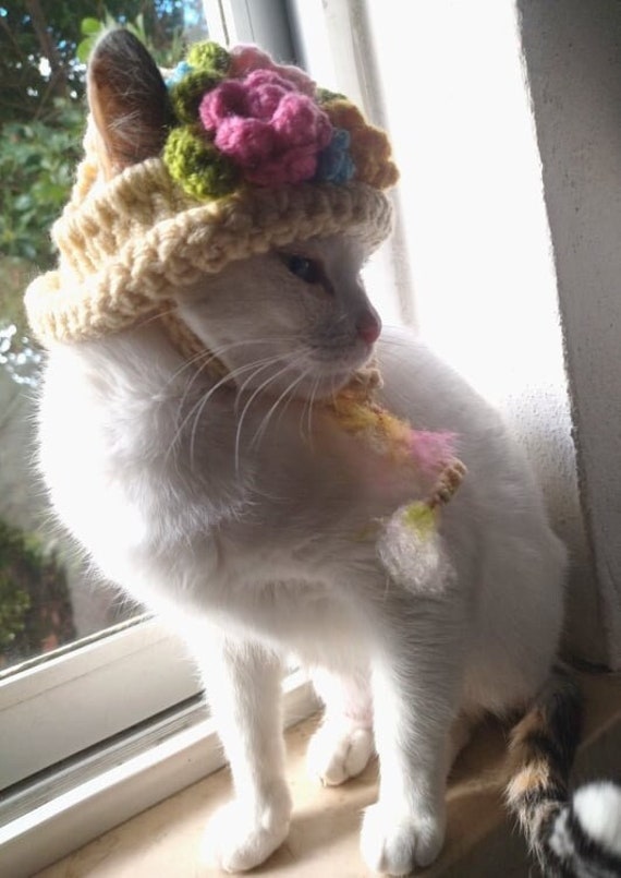 5 Pcs Chapeau de chat Adorable Costume Lapin Chapeau avec Oreilles